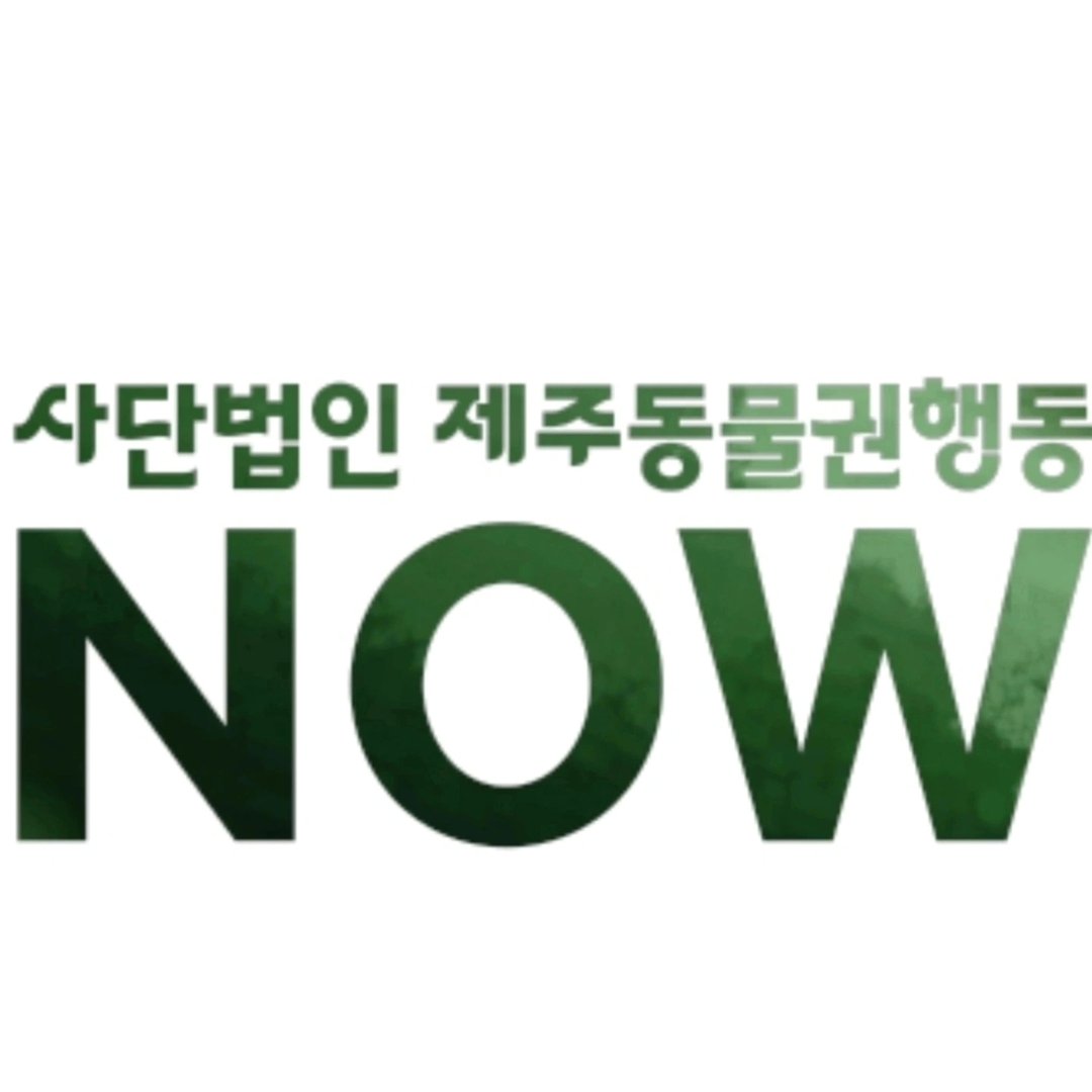 Jeju.Now logo
